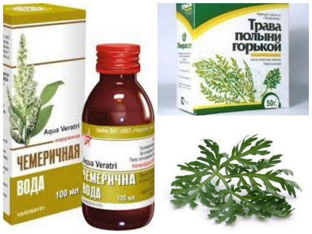 Полынь от блох, или избавляемся от паразитов натуральными средствами!