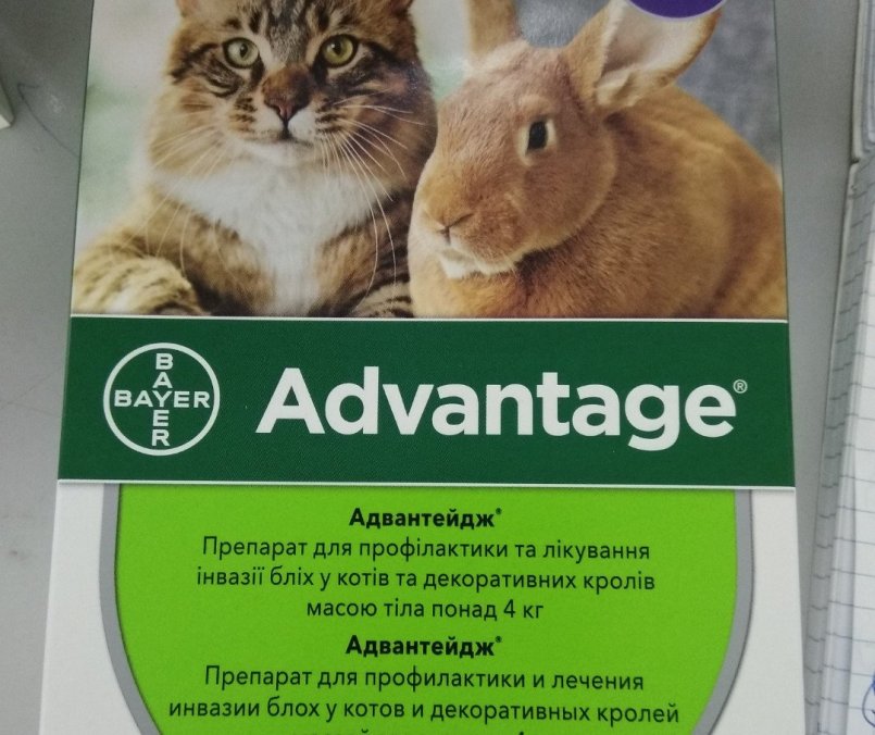 Обзор препарата адвантейдж для кошек: инструкция по применению, отзывы