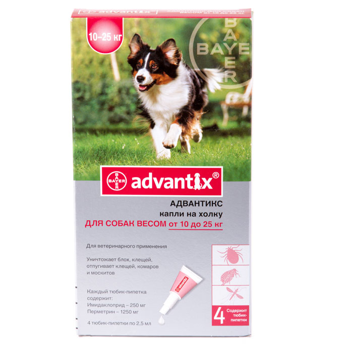 Адвантикс для собак: инструкция по применению | цена, отзывы