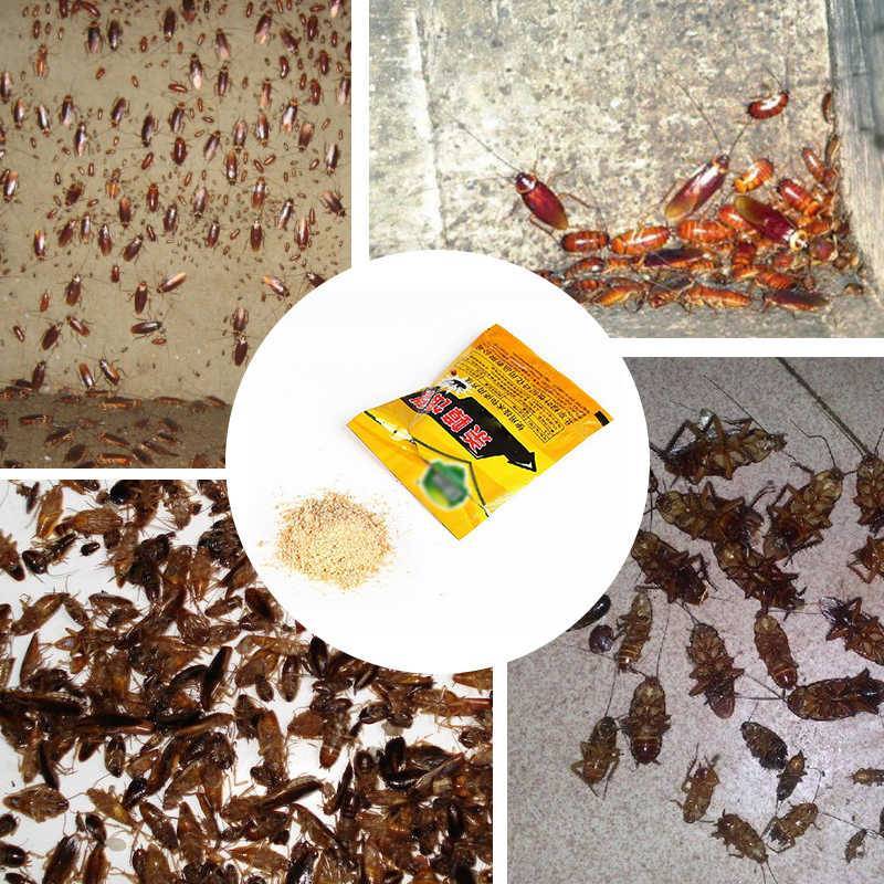 Как избавиться от тараканов, эффективные способы борьбы с насекомыми.