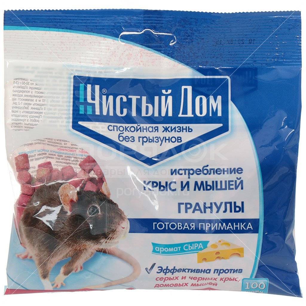 Крысиный яд: смертельная доза для человека, симптомы, последствия