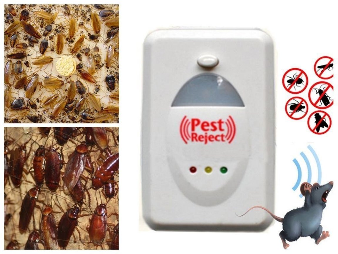 Ультразвуковые отпугиватели тараканов: обзор лучших, отзывы