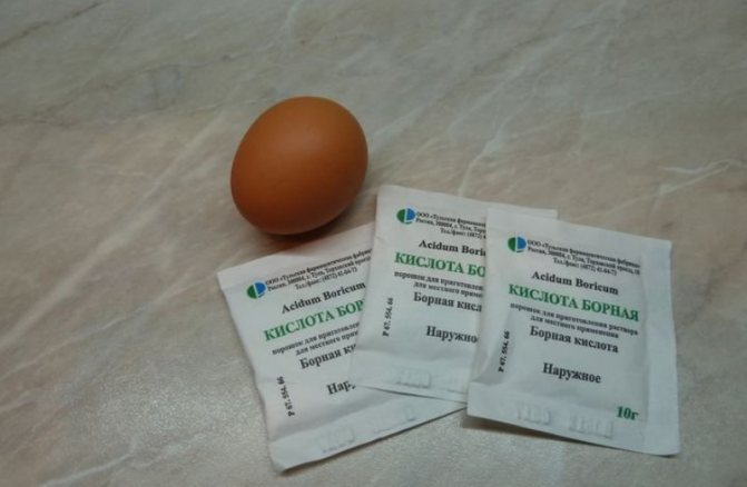 Борная кислота от тараканов - рецепт с яйцом: отзывы, пропорции
борная кислота от тараканов - рецепт с яйцом: отзывы, пропорции