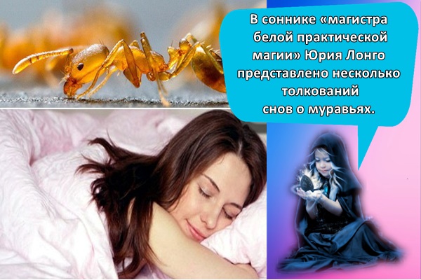 К чему снятся муравьи: замужней женщине, незамужней девушке, мужчине, в доме, в кровати