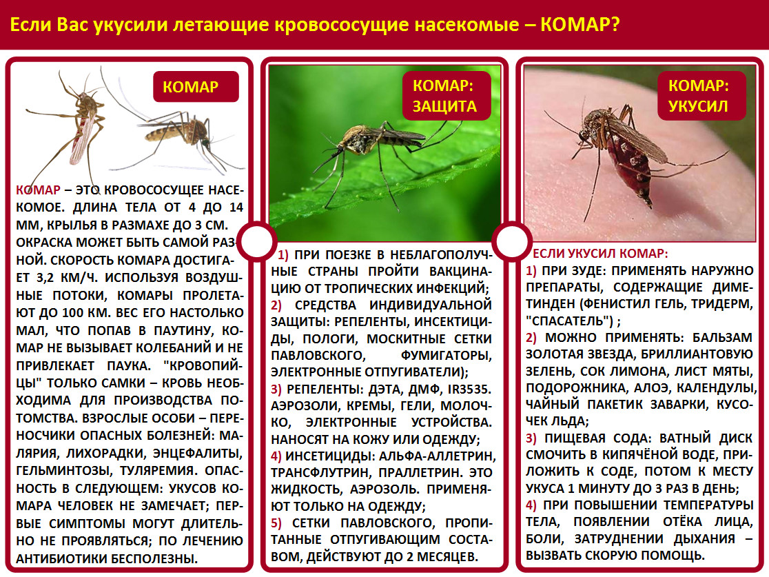 Курение во время беременности: мифы, последствия, методики отказа