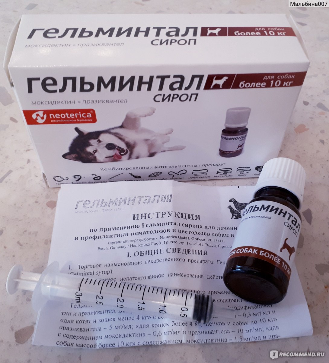 Обзор препарата гельминтал для кошек: капли, таблетки, сироп