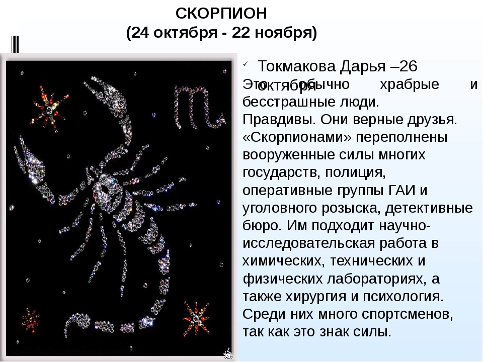 Скорпионница образ жизни и строение тела необычных насекомых