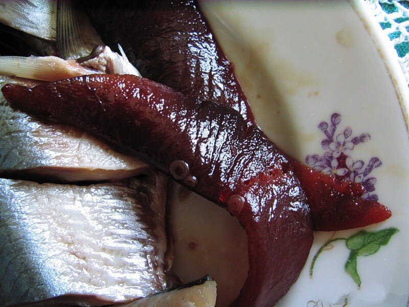 Солитерный червь в рыбе: как выглядит, опасен ли для человека?