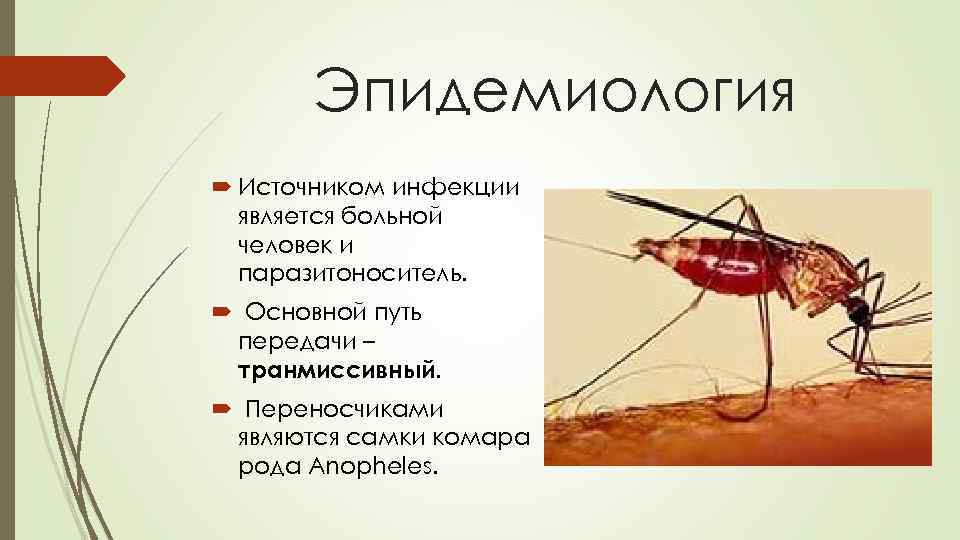 Малярия