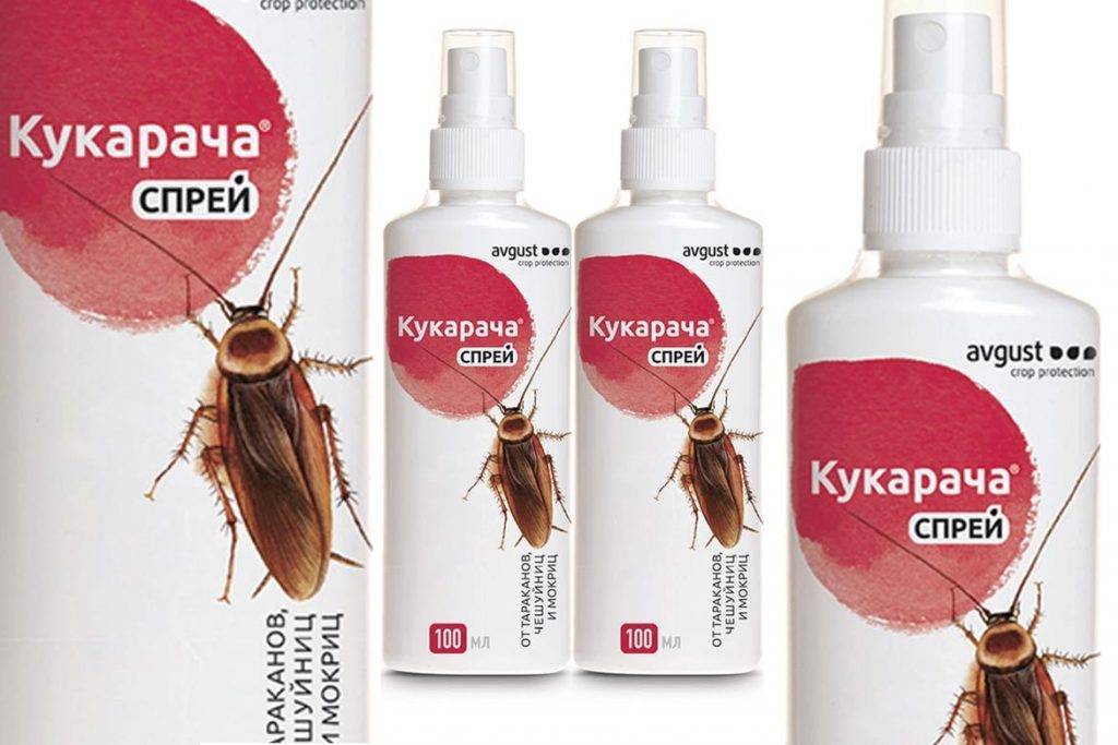 Средство от тараканов и клопов «кукарача» (50 гр): инструкция по использованию, купить в москве и спб