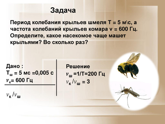 Скорость мухи составляет. Скорость полета мухи. Частота колебаний крыльев комара. Частота колебаний крыльев насекомых. Период колебаний крыльев шмеля 5 МС.