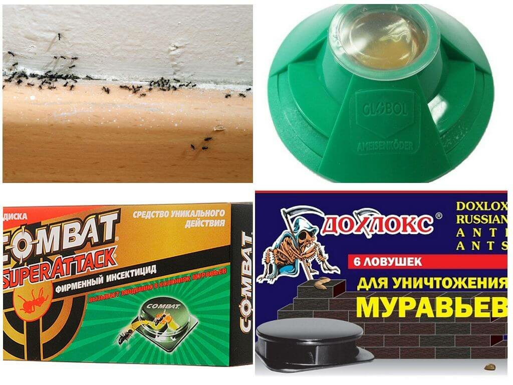 Выбираем лучшее эффективное средство от муравьев / как избавится от насекомых в квартире