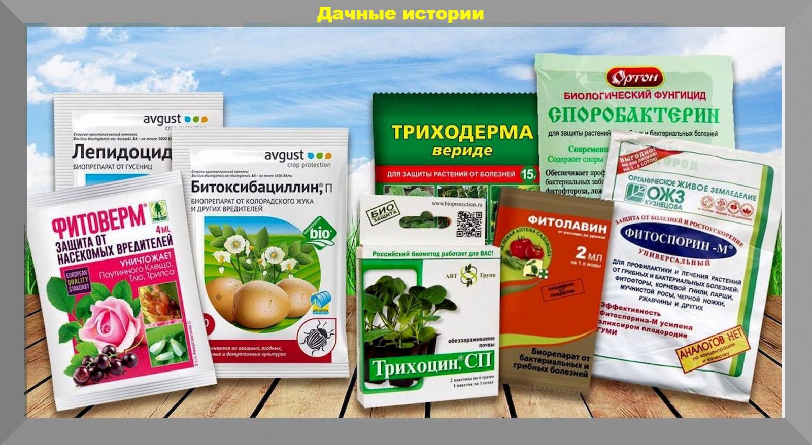 Легкие методы борьбы со слизнями в теплице