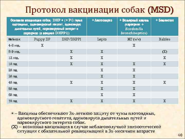 Во сколько первые прививки щенкам