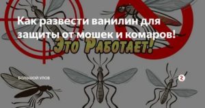 Ванилин от комаров: рецепты и их эффективность