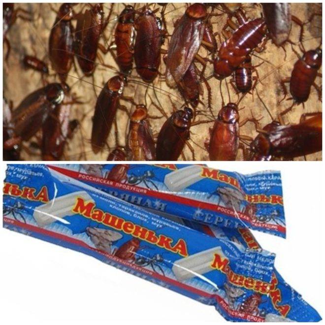 Карандаш от тараканов машенька: инструкция, цена, где купить мелок, отзывы о средстве