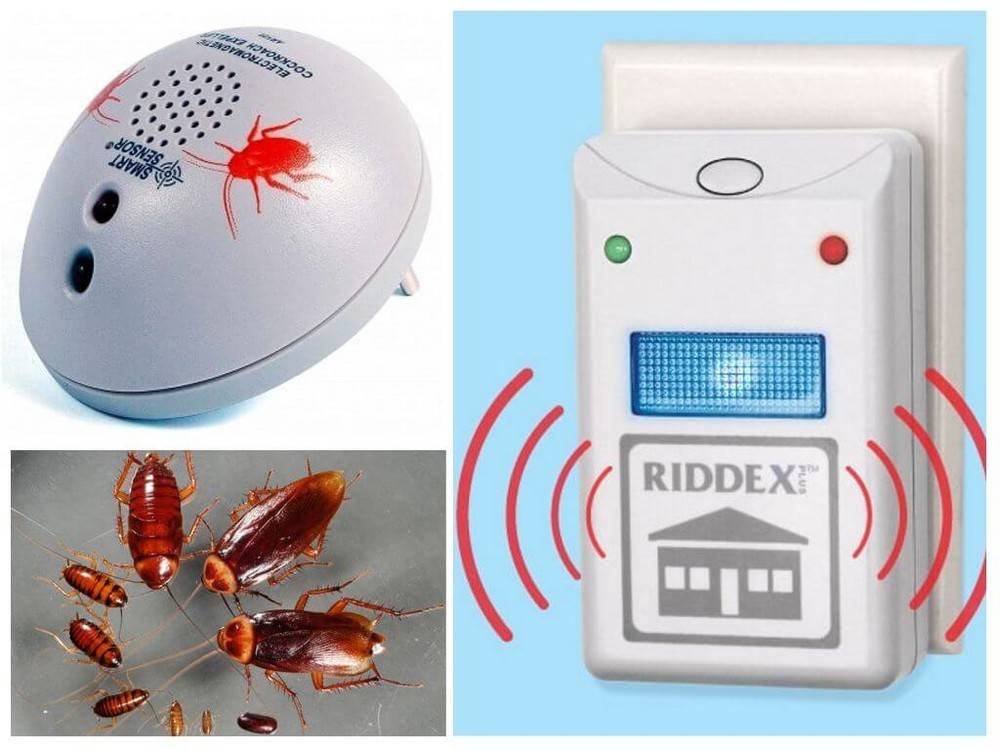 Ультразвуковые отпугиватели тараканов: какой из них лучше купить?