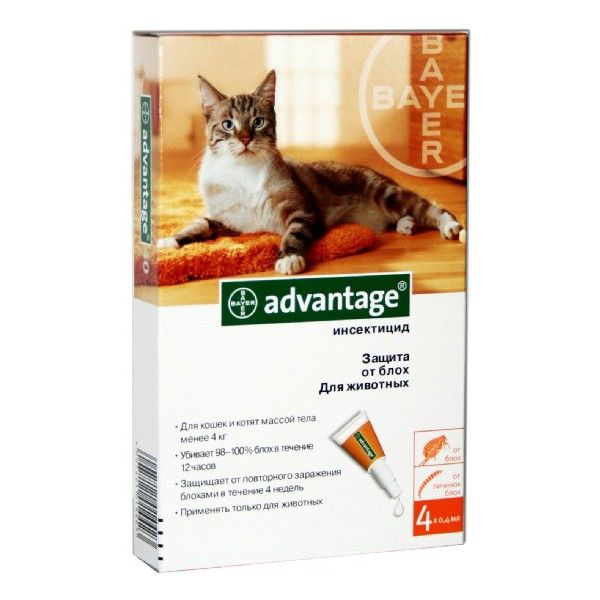 «адвантейдж» для кошек: инструкция по применению