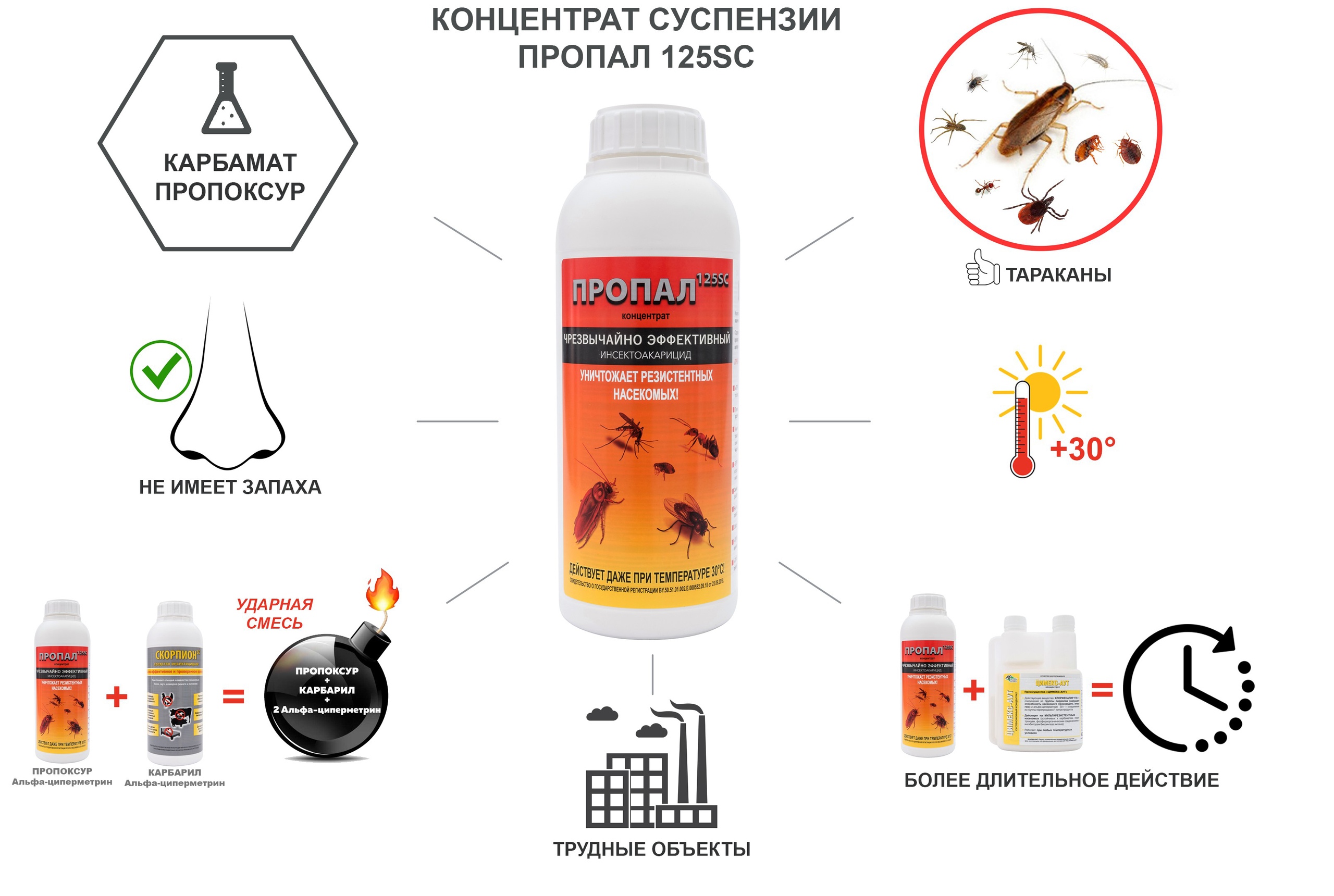 Инсектицид регент 800 – инструкция по применению, отзывы об эффективности препарата против насекомых
