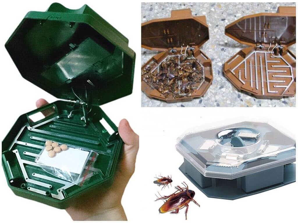 Ловушки для тараканов своими руками: из банки, электрические, клеевые и другие + фото и видео