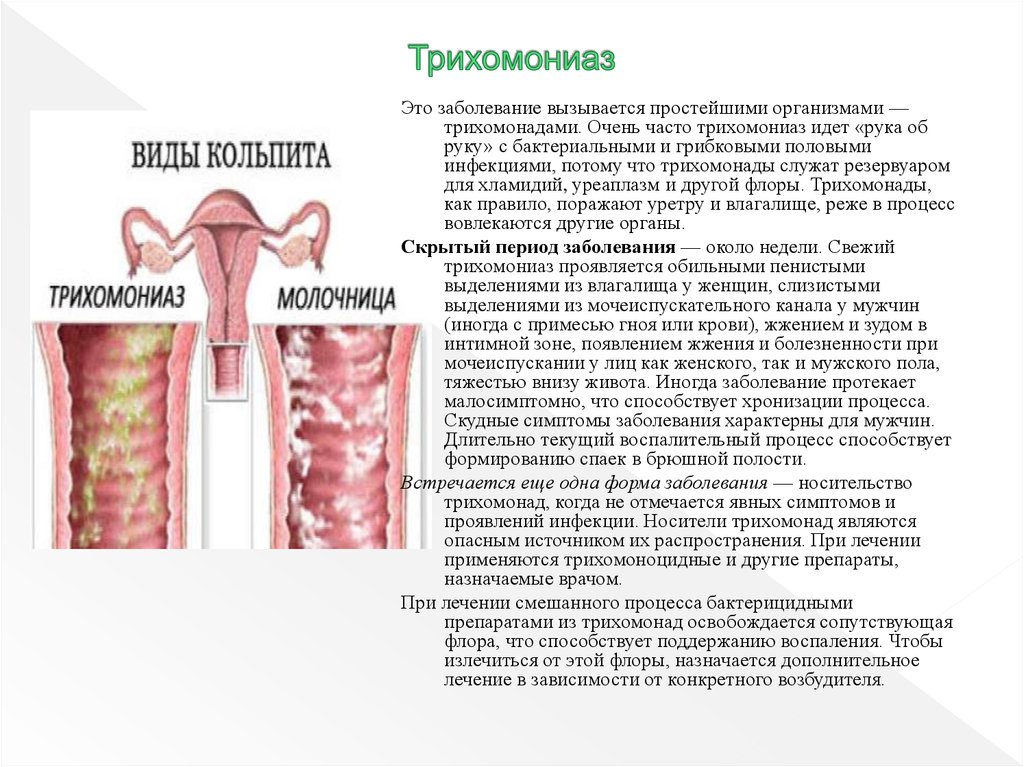 Трихомонадный кольпит лечение у женщин препараты схема лечения