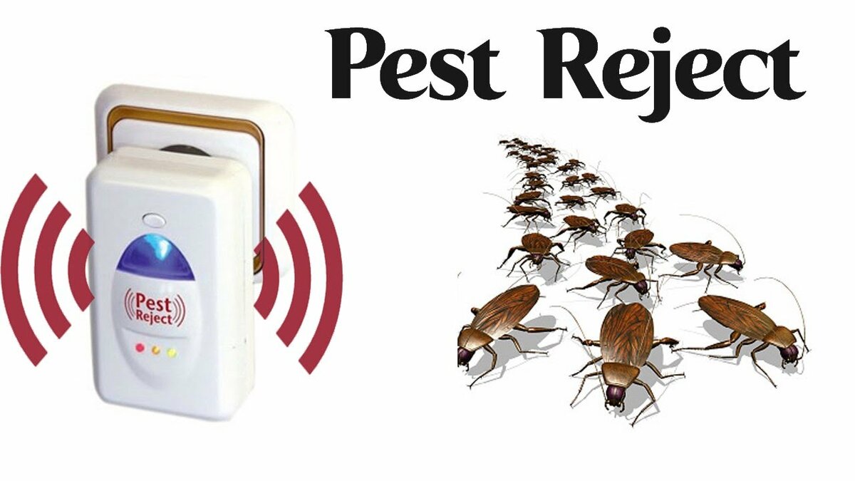 Pest reject от клопов: отзывы покупателей, характеристики, правила использования