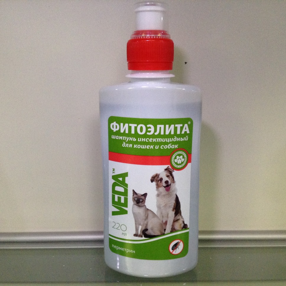 6 шампуней от блох для щенков, которые должны быть в аптечке собаковода | ваши питомцы
