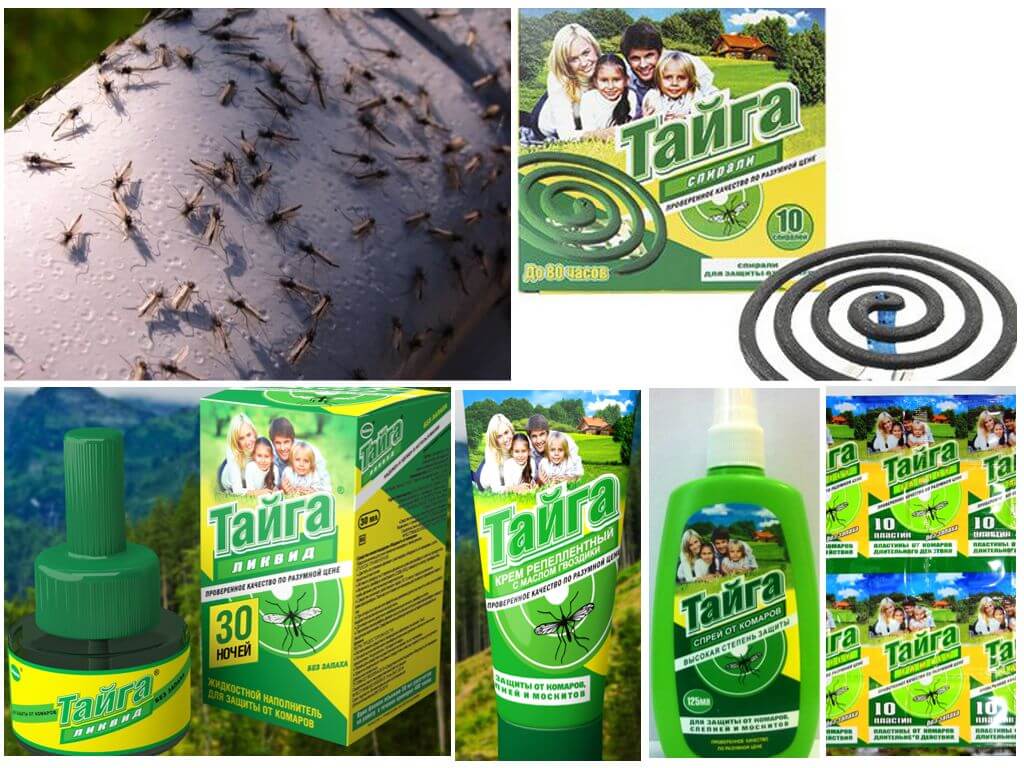 Народное средство от комаров: самые эффективные методы борьбы в домашних условиях / как избавится от насекомых в квартире