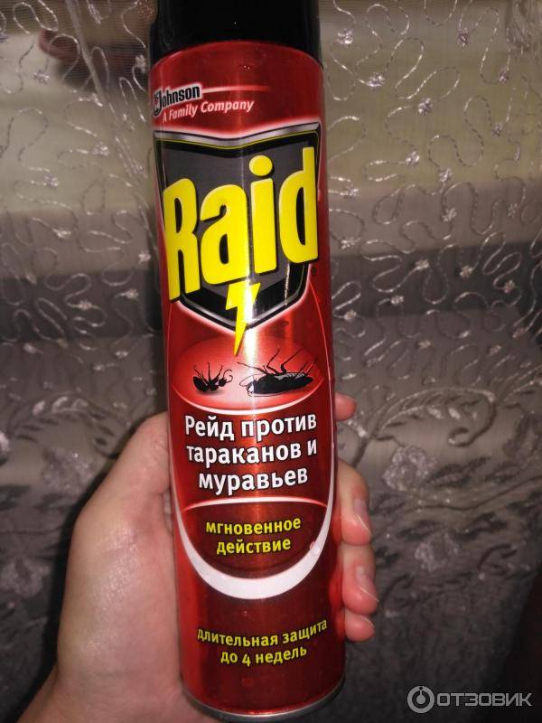 Raid от тараканов: цена ловушки и аэрозоли рейд против насекомых русский фермер