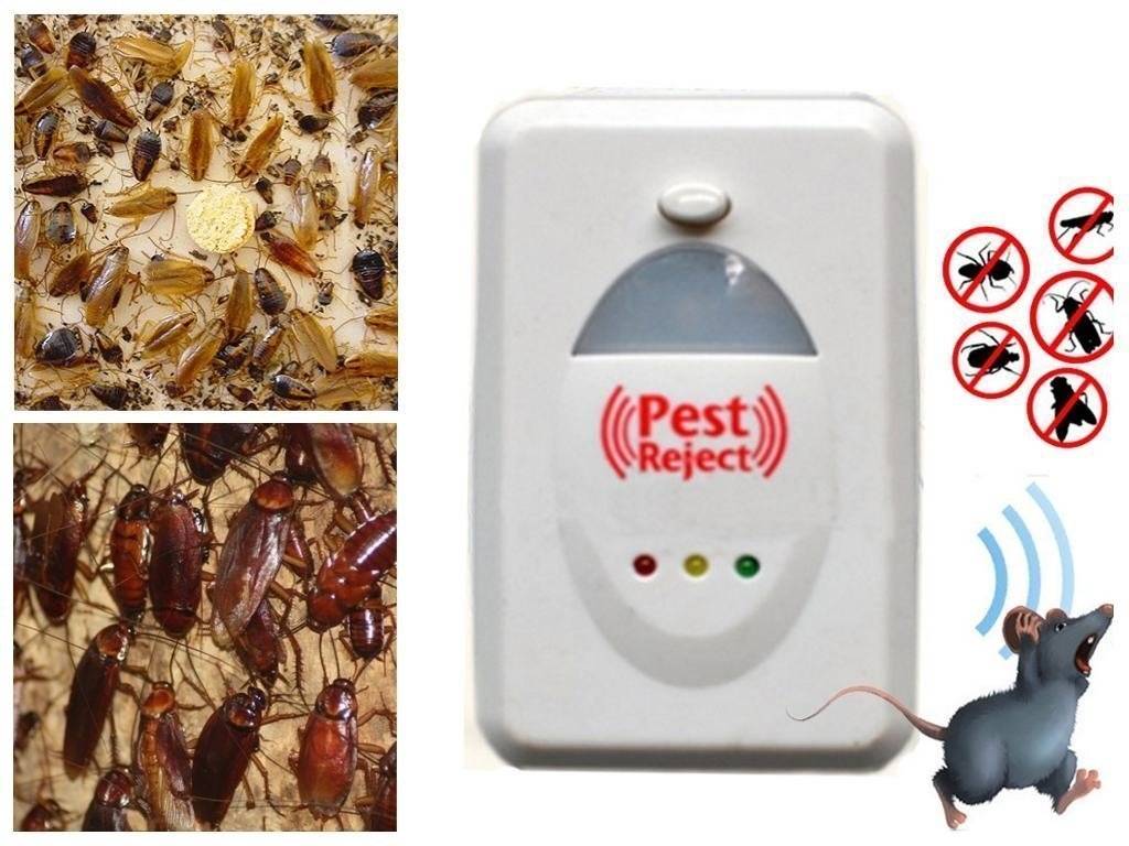 6 наименований отпугивателей тараканов — есть ли смысл их покупать?