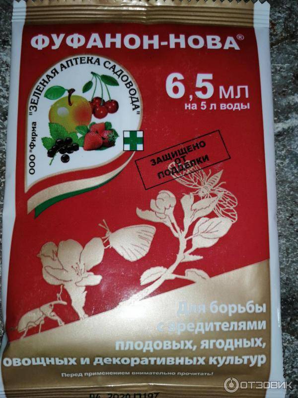 Мыло, зола, горчица, сода и уксус от тли самые эффективные народные средства в борьбе с вредителем русский фермер