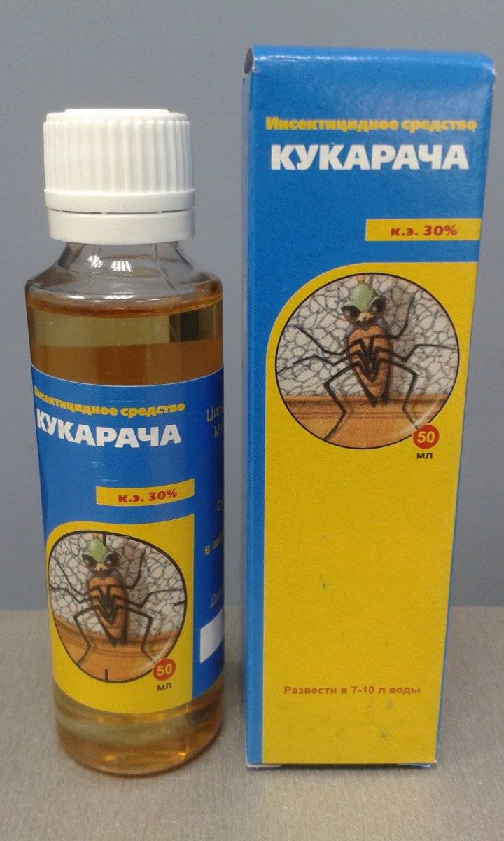 Кукарача от тараканов: описание, инструкция по применению и отзывы