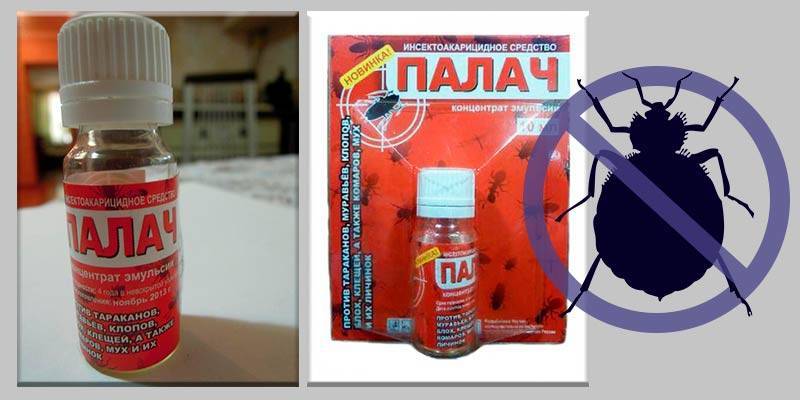Эффективное средство от клопов без запаха: 15 лучших средств