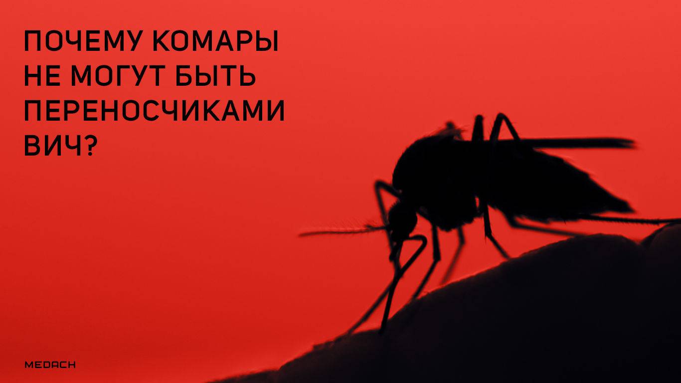 Какие болезни переносят комары