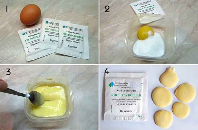 Борная кислота от тараканов: применение, рецепт с яйцом, инструкция