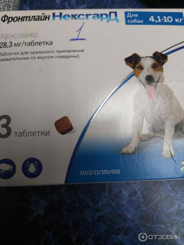 Таблетки от клещей для собак: обзор и инструкция к препаратам