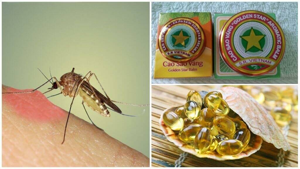 Средство от комаров в домашних условиях: народные рецепты