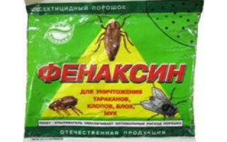 «фенаксин» — порошковый инсектицид от тараканов и клопов