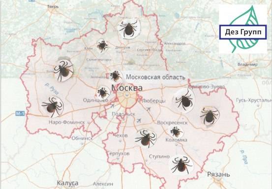 Карта обитания гадюк в подмосковье