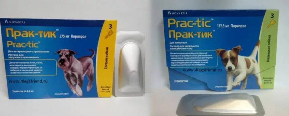 Капли практик для собак – лучшая защита от клещей