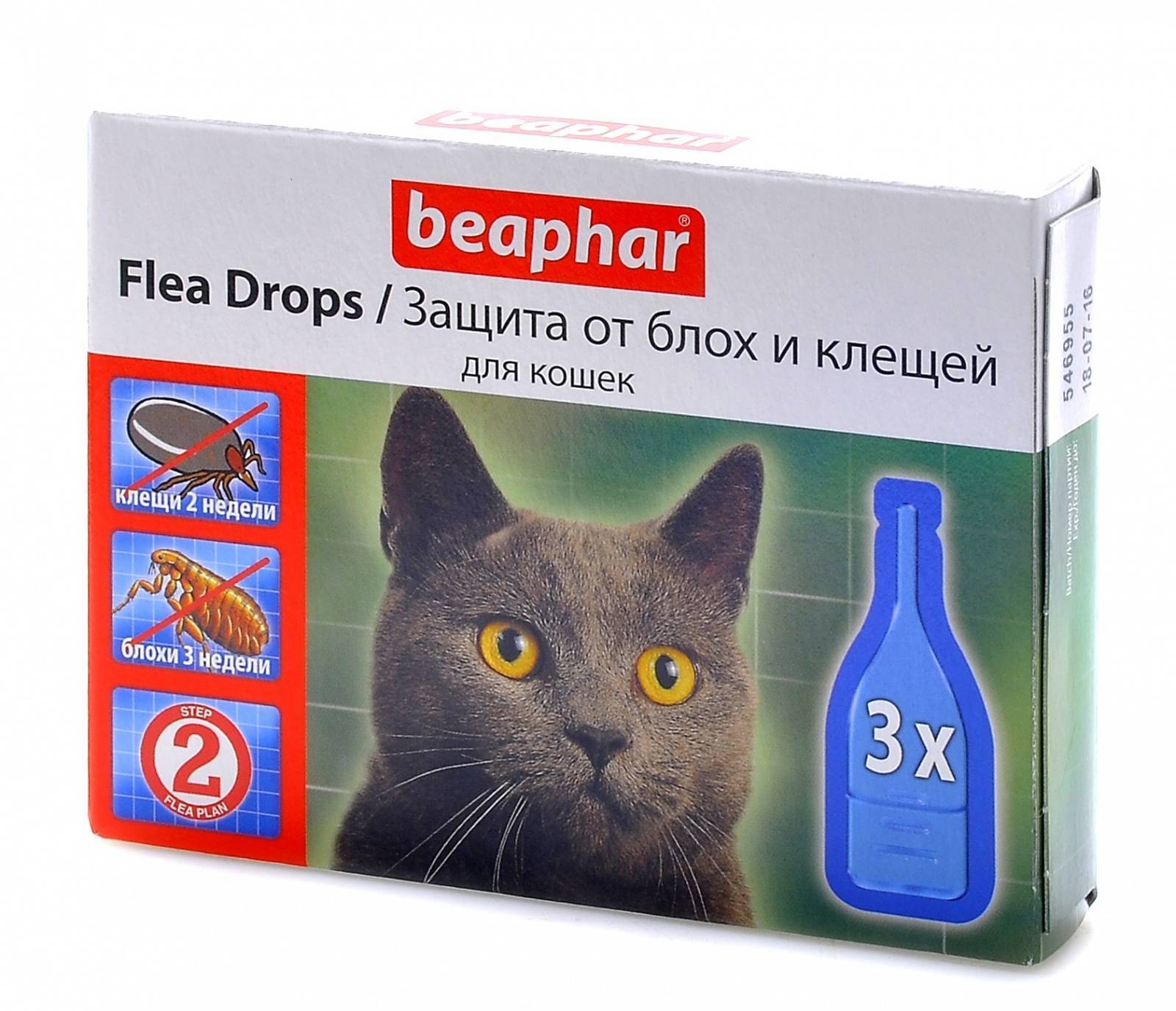 Средство от блох для кошек: эффективные таблетки, спреи, лучшие капли на холку