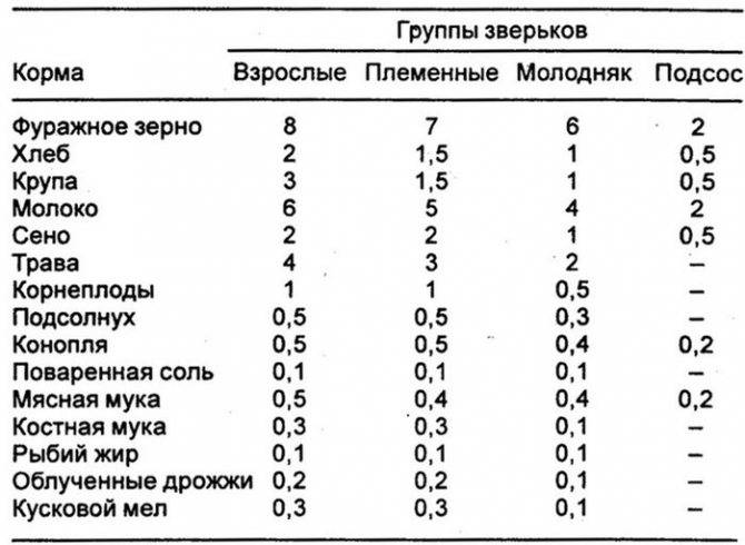 Чем питаются мыши: еда грызуна в домашних условиях и в природе