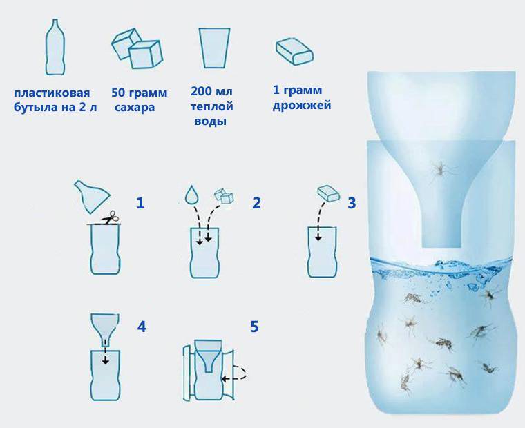 Ловушка для мошек и комаров своими руками: из бутылки и другие