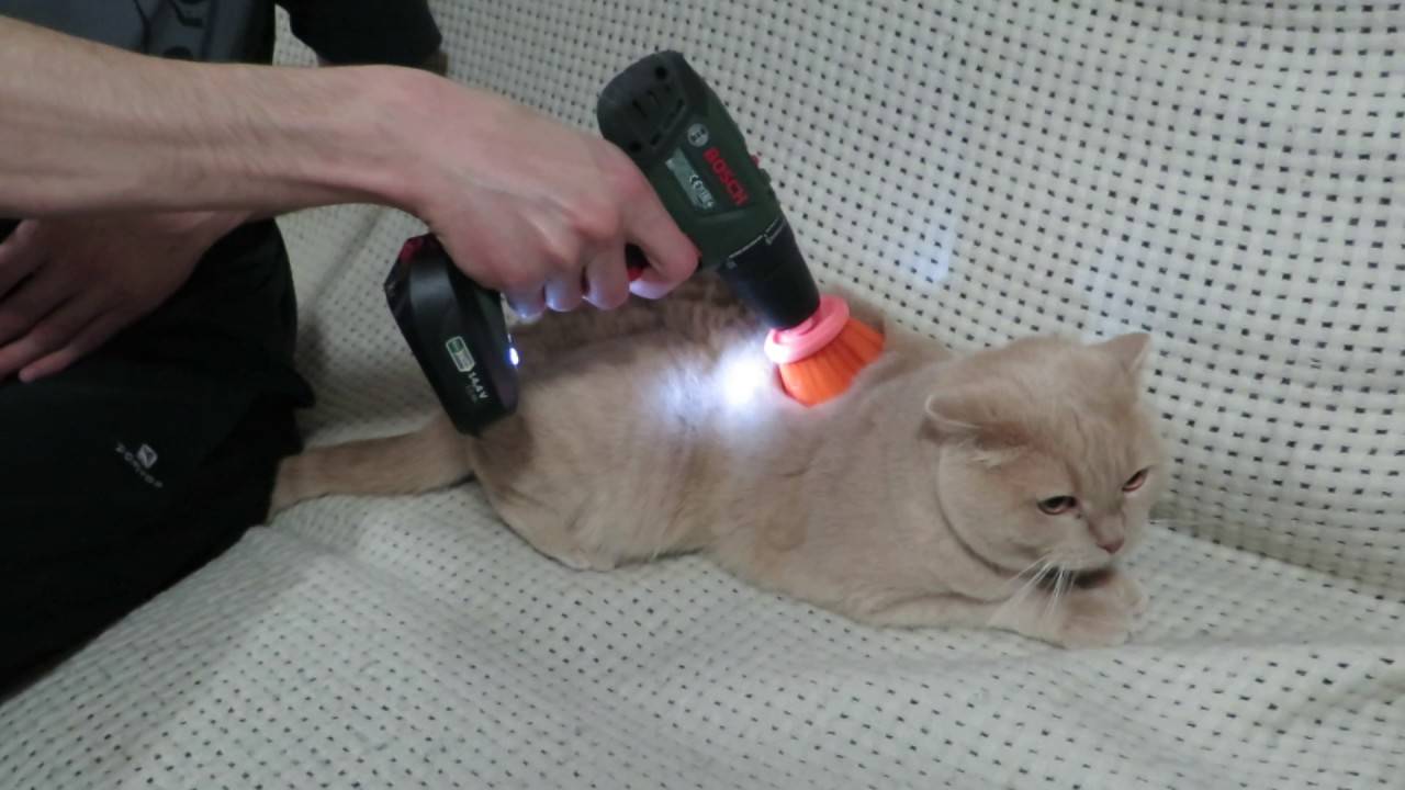 Расчески для кошек – какую выбрать?