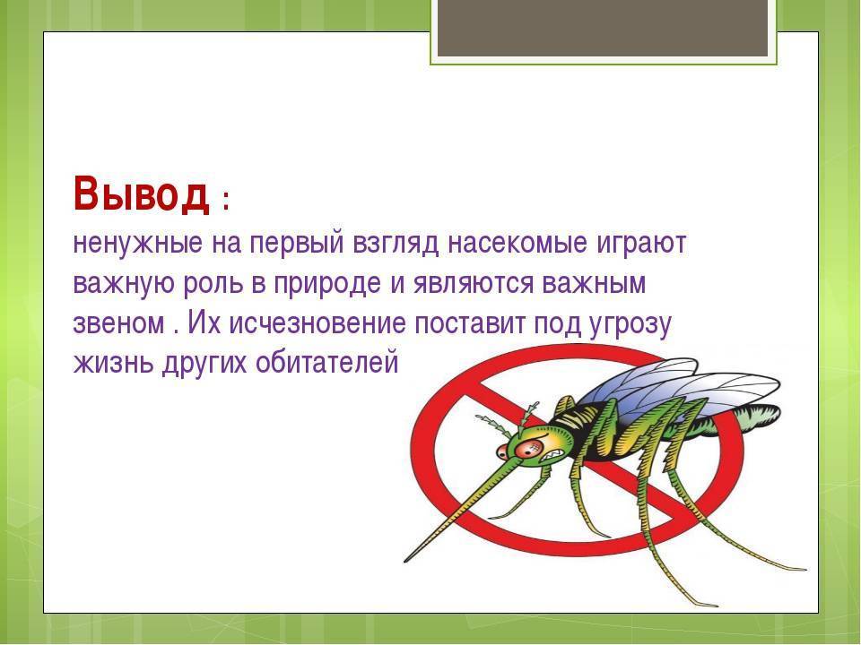 Для чего нужны комары в природе