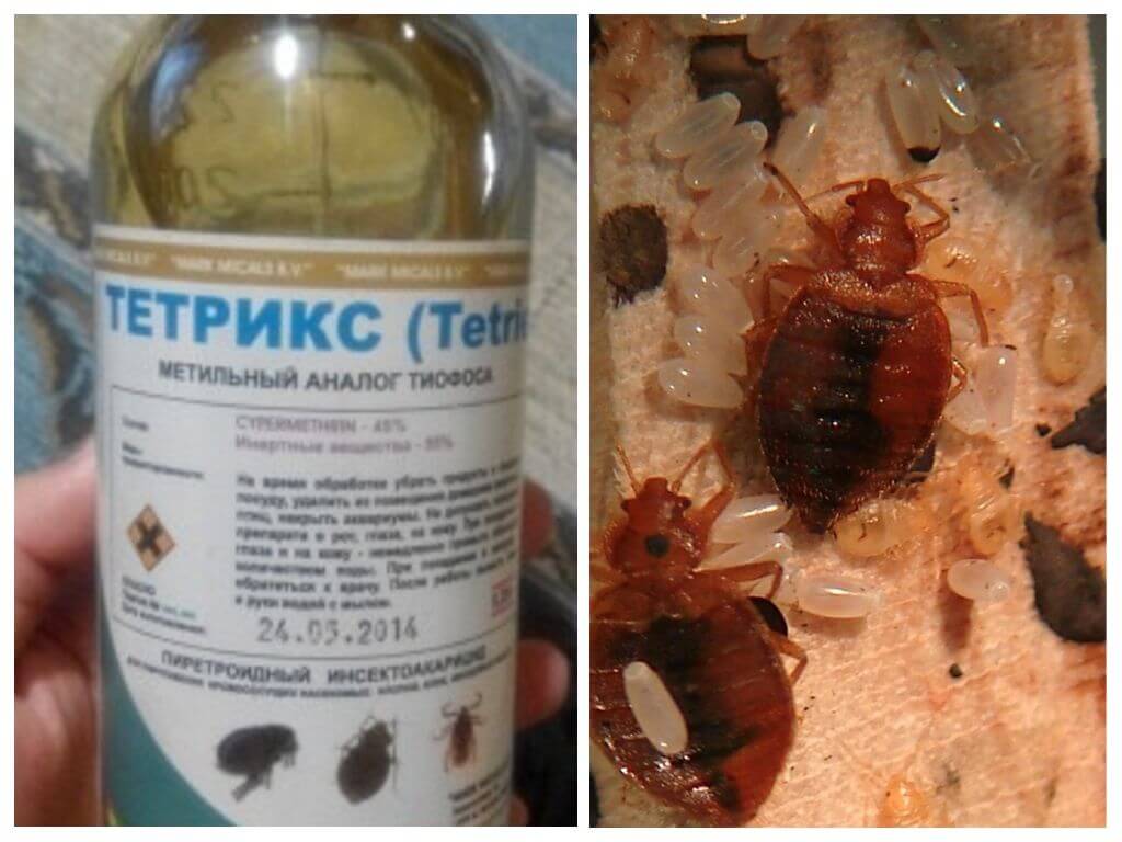 Жидкие средства от тараканов: современные микрокапсулированные