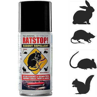 Самые эффективные средства от крыс и мышей