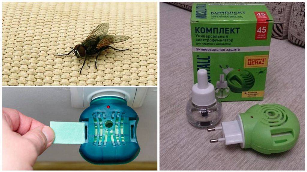 ᐉ фумигатор от комаров: принцип действия, эффективность, отзывы, как выбрать, можно ли сделать своими руками - zoovet24.ru
