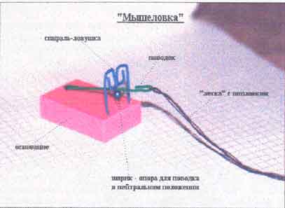 Как поставить мышеловку инструкция в картинках