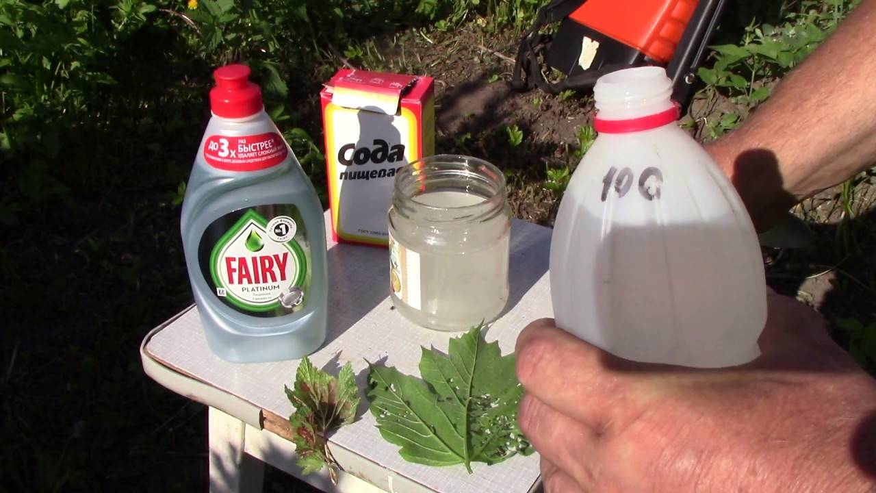 Кальцинированная сода: применение в саду и огороде, способы, рецепты, видео